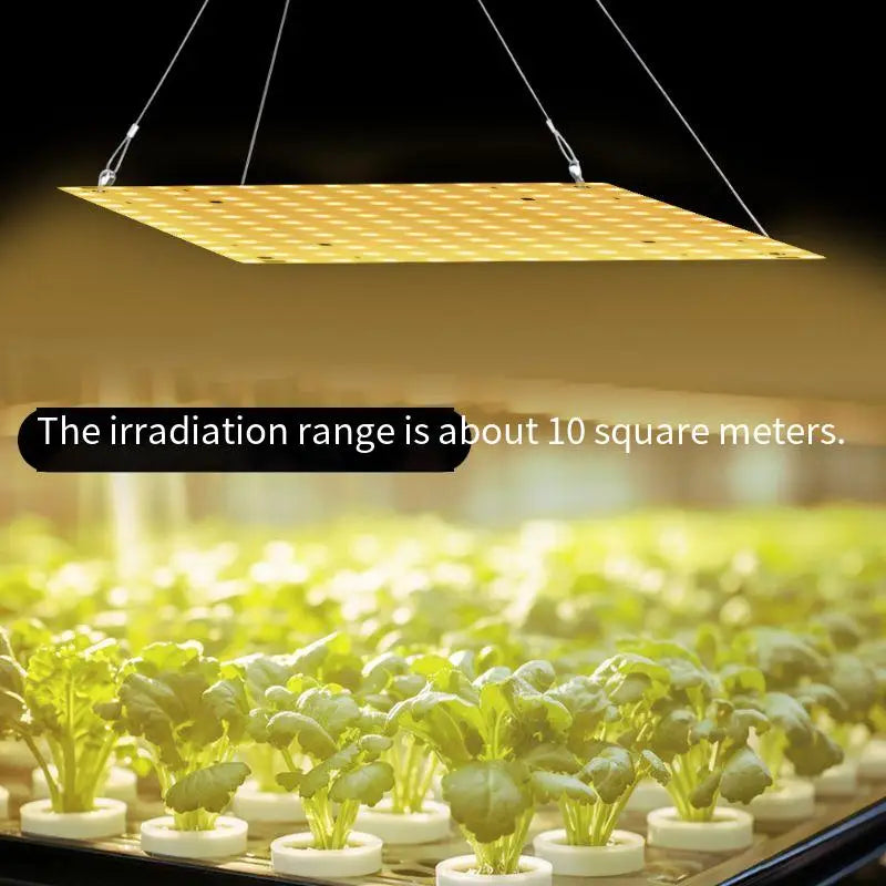 O LED Full Spectrum Grow Light Quantum Board Plant UV Lamp Indoor Flower Seedling Hydroponic Greenhouse Vegetable Cultivation