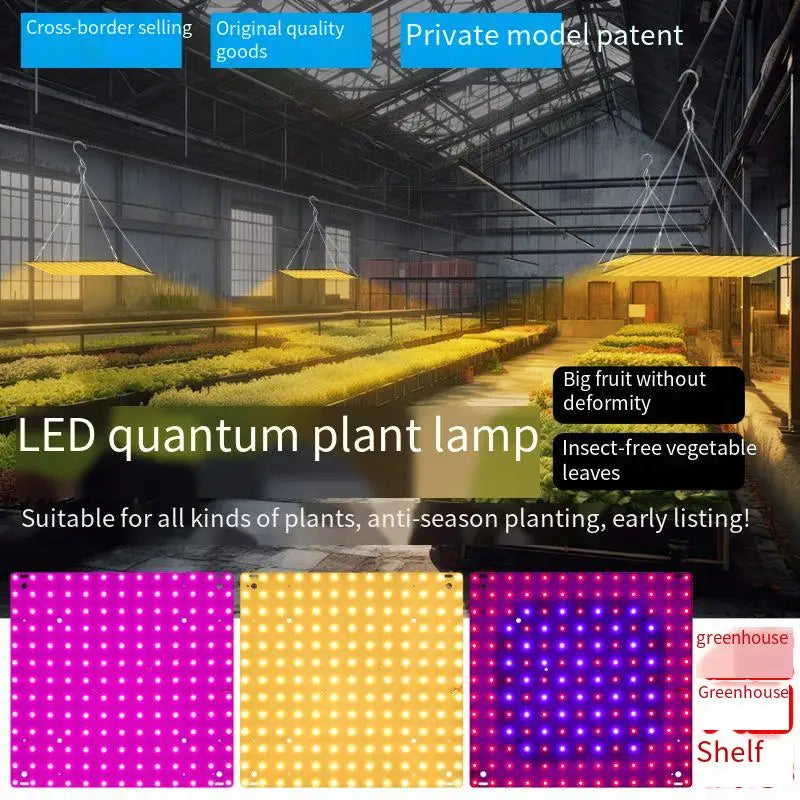 O LED Full Spectrum Grow Light Quantum Board Plant UV Lamp Indoor Flower Seedling Hydroponic Greenhouse Vegetable Cultivation