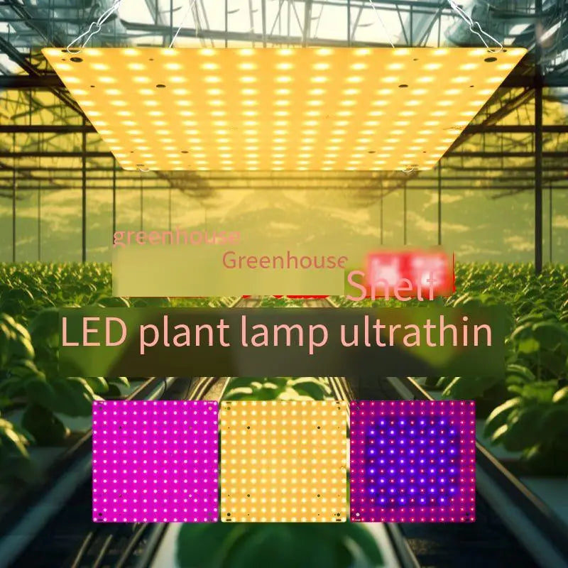 O LED Full Spectrum Grow Light Quantum Board Plant UV Lamp Indoor Flower Seedling Hydroponic Greenhouse Vegetable Cultivation