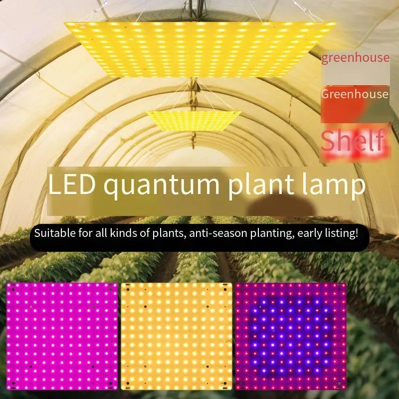 O LED Full Spectrum Grow Light Quantum Board Plant UV Lamp Indoor Flower Seedling Hydroponic Greenhouse Vegetable Cultivation