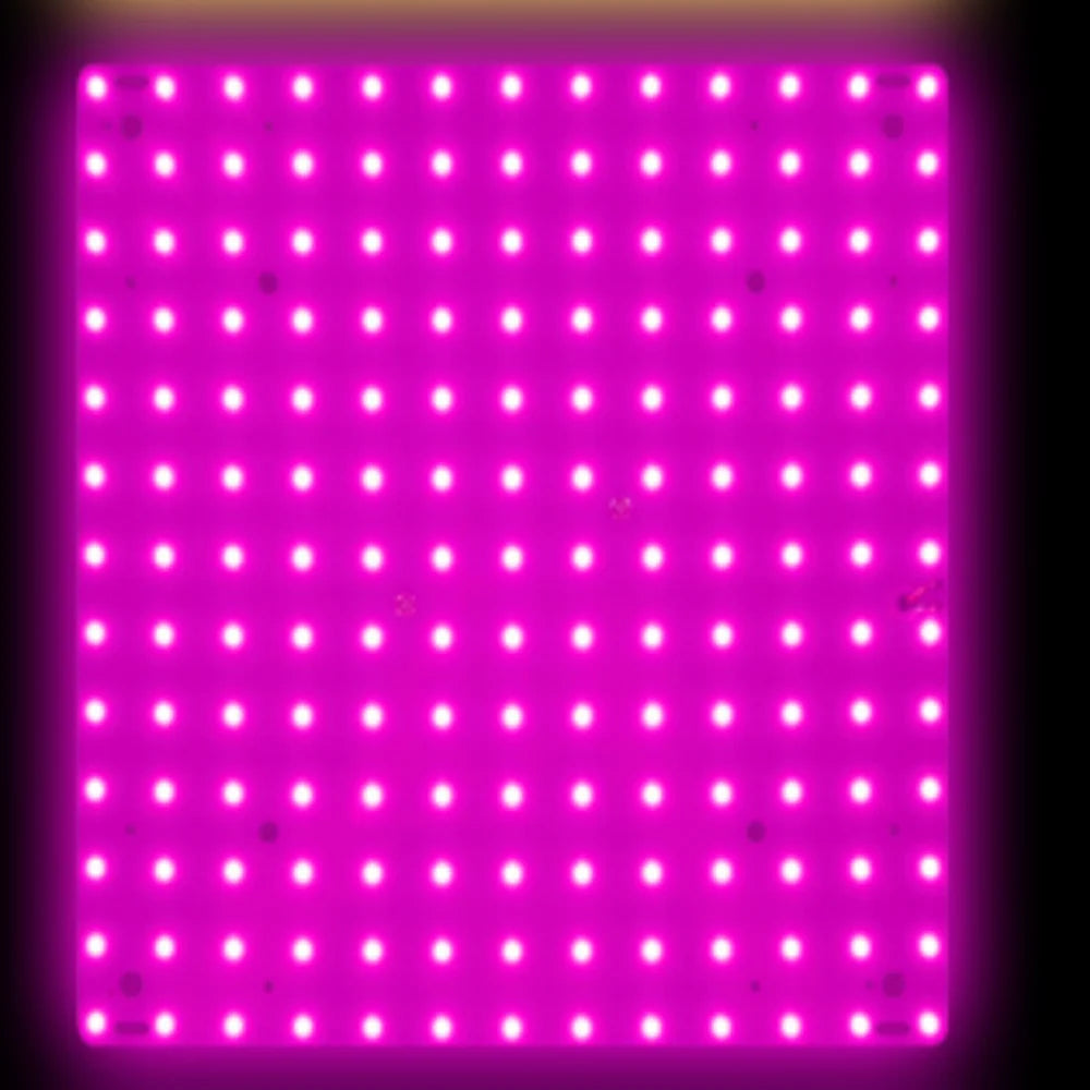 O LED Full Spectrum Grow Light Quantum Board Plant UV Lamp Indoor Flower Seedling Hydroponic Greenhouse Vegetable Cultivation