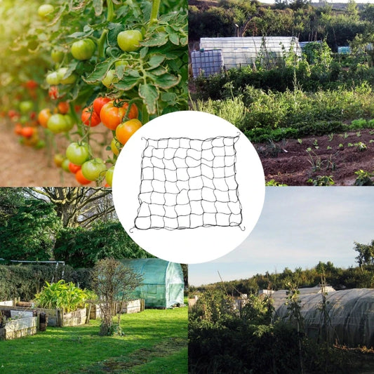 Y3NA Flexible Elastic Trellis Netting Plant Support Kits With Hook Prevent Tent Wall Sucking In For Grow Tent Garden
