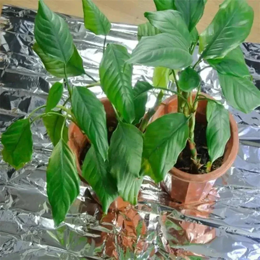 Silver Mylar Highly Reflective Films For Grow Foil Tent Room Garden Greenhouse Farming Increase Plant Growth Reflective Film