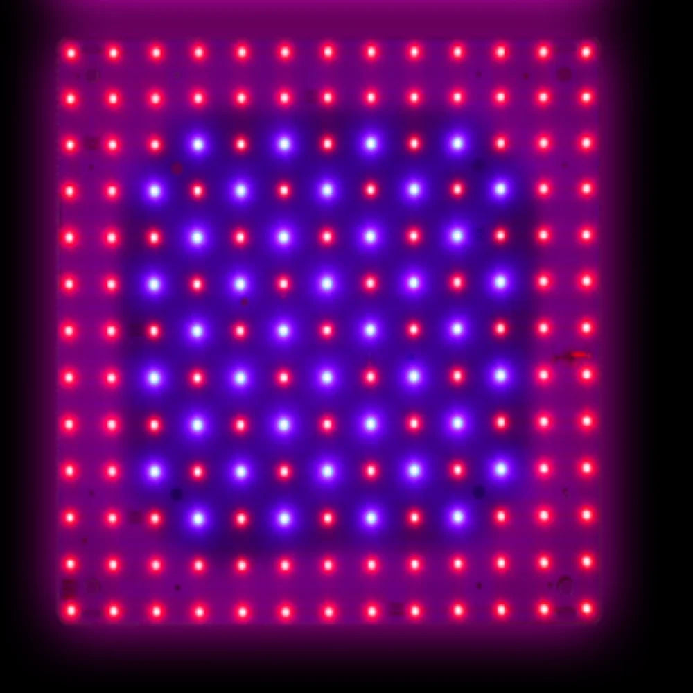O LED Full Spectrum Grow Light Quantum Board Plant UV Lamp Indoor Flower Seedling Hydroponic Greenhouse Vegetable Cultivation
